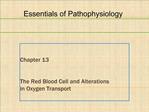 Chapter 13 The Red Blood Cell and Alterations in Oxygen Transport