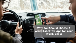 Why You Should Choose A White-Label Taxi App for Your Taxi Business