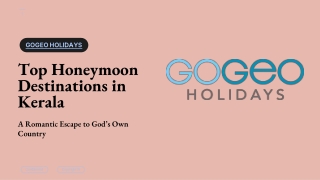 Top Honeymoon Destinations in Kerala