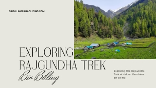 Exploring The RajGundha Trek A Hidden Gem Near Bir Billing
