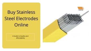 Buy Stainless Steel Electrodes Online