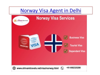 Norway visa consultants in delhi