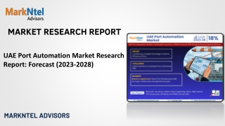 UAE Port Automation Market Research Report: Forecast (2023-2028)