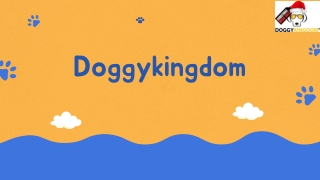 Luxury Dog Clothes & Affordable Dog Accessories - Shop Online at Doggykingdom