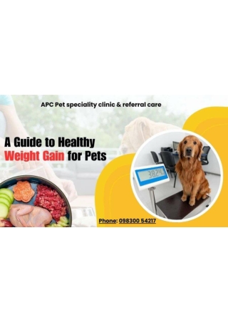 A Guide how Healthy Weight Gain for Pets