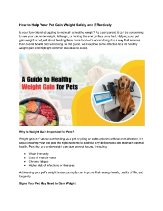 How to Help Your Pet Gain Weight Safely and Effectively