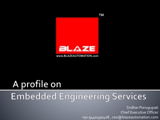 Blaze Embedded services Presentation Nov 2013