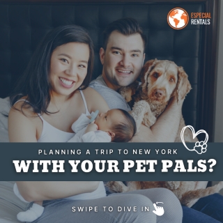 Pet pals carousel