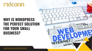 Why is WordPress the Perfect Solution for Your Small Business