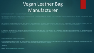 Vegan Leather Bag Manufacturer