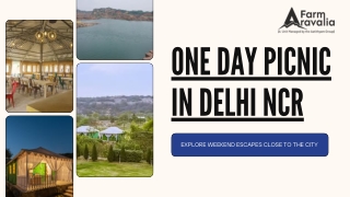 Day Outing Near Gurgaon- Farm Aravalia