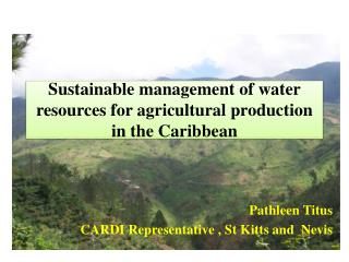 Sustainable management of water resources for agricultural production in the Caribbean