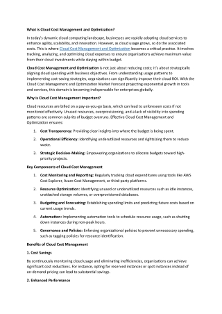 What is Cloud Cost Management and Optimization