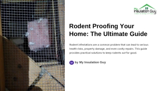 Rodent Proofing Your Home The Ultimate Guide to Keeping Pests Out