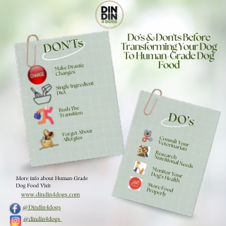 Do's and Don'ts Before Transforming Your Dog To Human-Grade Dog Food