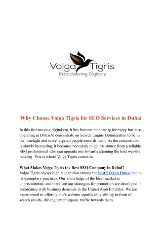 Why Choose Volga Tigris for SEO Services in Dubai