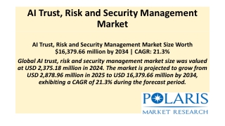 AI Trust, Risk and Security Management Market