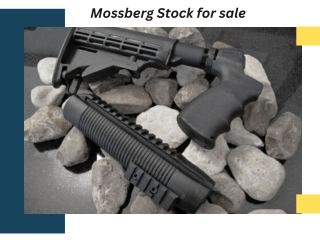 Mossberg Stock for sale