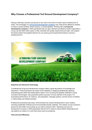 Why Choose a Professional Turf Ground Development Company (1)