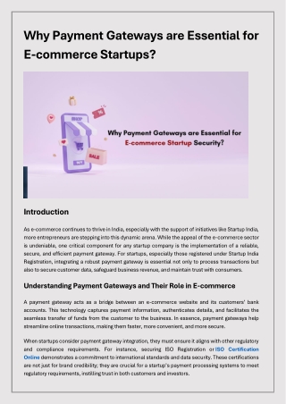 Payment Gateways are Essential for E-commerce Startups Security