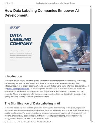 How Data Labeling Companies Empower AI Development - Evernote