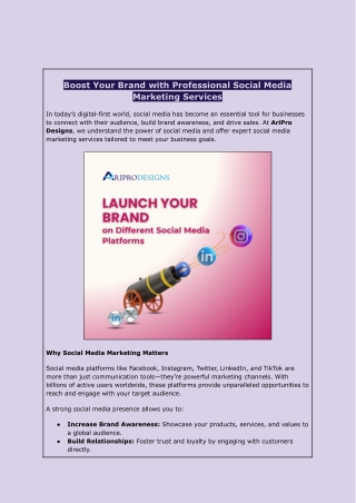 Expert Social Media Marketing Services - AriPro Designs