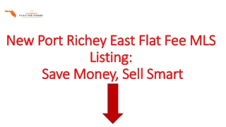 New Port Richey East Flat Fee MLS Listing: Save Money, Sell Smart