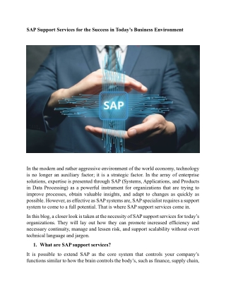 SAP Support Services for the Success in Today’s Business Environment