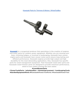 Kawasaki Parts for Trimmers & Motors _ WholeToolBox