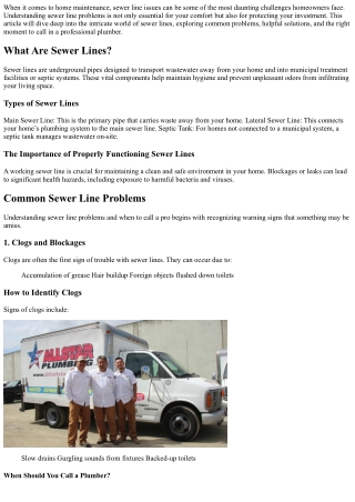 “Understanding Sewer Line Problems and When to Call a Pro”