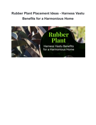 Rubber Plant Placement Ideas - Harness Vastu Benefits for a Harmonious Home