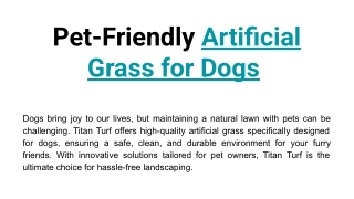 Pet-Friendly Artificial Grass for Dogs