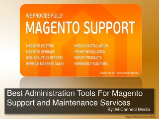 Best Rated Administration Tools For Magento Support Services