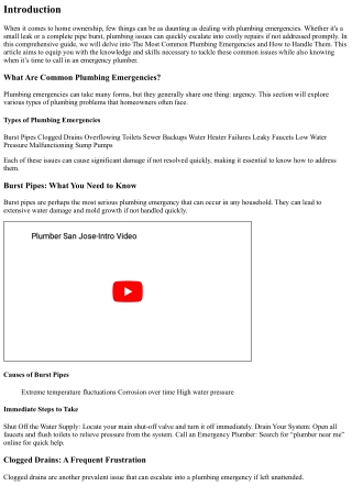 The Most Common Plumbing Emergencies and How to Handle Them