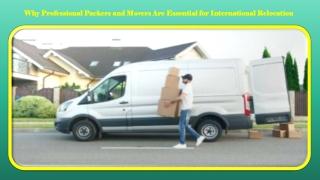 Why Professional Packers and Movers Are Essential for International Relocation