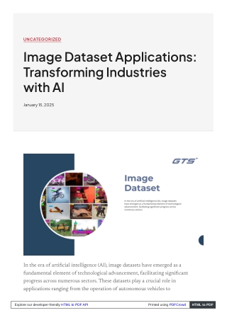 Image Dataset Applications Transforming Industries with AI