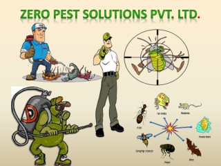 Termite Controller- Zero Pest Solutions