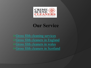 Top Gross Filth Cleaners in Wales UK