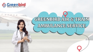 Greenbird Air Ambulance Service in Darbhanga Your Best Transportation for Your Patients
