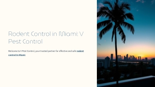 Rodent Control in Miami – V Pest Control