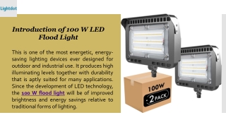 Weatherproof 100 Watt Flood Light for Gardens