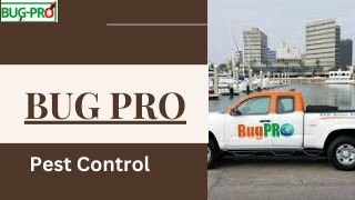 Bug Pro Pest Control Reliable Pest Management Services Across Nigeria