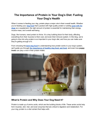 The Essential Role of Protein in Your Dog’s Diet: What You Need to Know