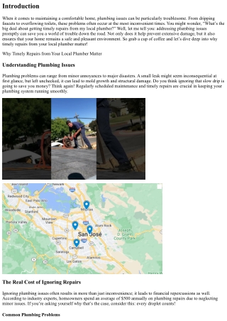 “Why Timely Repairs from Your Local Plumber Matter”