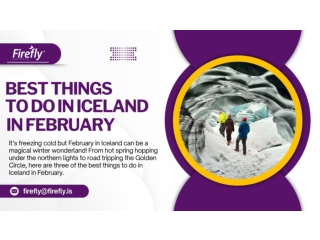 Best Things to Do in Iceland in February