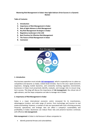 Mastering Risk Management in Dubai