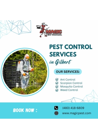 Mosquito Control Services at Magic Pest Control in Gilbert, Queen Creek, and Cha