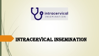Iui At Home Insemination