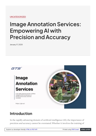 Image Annotation Services Empowering AI with Precision and Accuracy