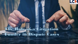 The Role of a Litigation Funder in Dispute Cases